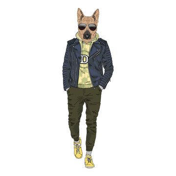 dog wearing sunglasses and leather jacket clip art preview
