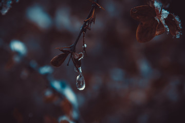Gota de lluvia