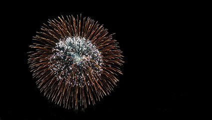 Fototapeta premium Veriety colorful fireworks on the night sky background. One flash of yellow salute