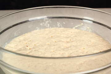 Ready Poolish after rising for 30 minutes. Making Yeast Sweet Roll Bun