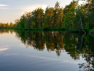 Fototapeta na wymiar beautiful landscape with swamp lake at sunset, beautiful reflections of calm blurred lake water