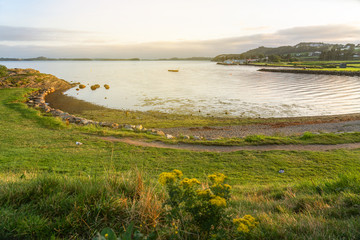 Obraz premium Norwegian fjords sea bay sunset landscape with summer meadow flowers, Norway