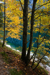 Fototapeta premium Peaceful autumn Alps mountain lake with clear transparent water and reflections. Gosauseen or Vorderer Gosausee lake, Upper Austria. Dachstein summit and glacier in far.