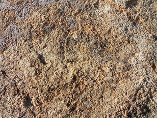 STONE TEXTURE 891