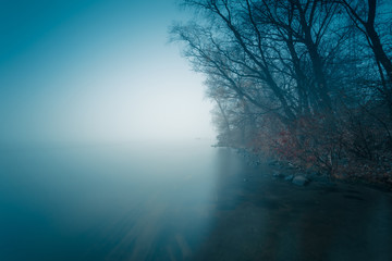 Autumnal trees above the foggy river bank. Long exposure shot.