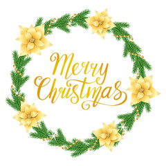 Beautiful circle frame with realistic spruce branch, decorative golden chain, hand drawn text Merry Christmas isolated on white background; Vector template with green fir tree twigs and poinsettia