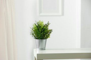 Table top with green plant in flowerpot. Wooden shelf with space for your decoration. White wall with frame picture background. Copy space. 