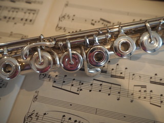 Obraz premium Flute Love Playing Music Notes Wind Band