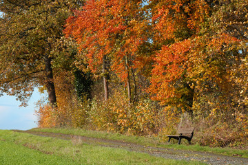 Herbstlandschaft