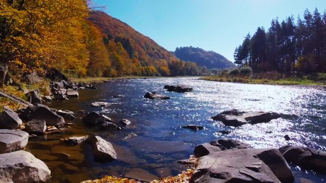 Poprad River in sunny autumn day. Rytro, Poland.