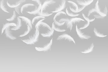 Fototapeta na wymiar Soft white feathers falling down in the air