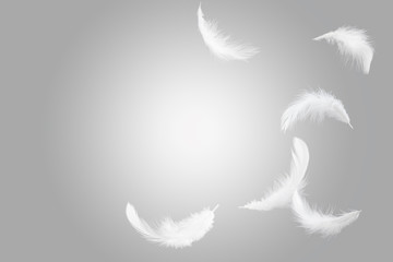 Abstract, soft white feathers floating in the air, grey background with copy space