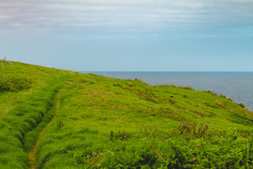 view of landscape