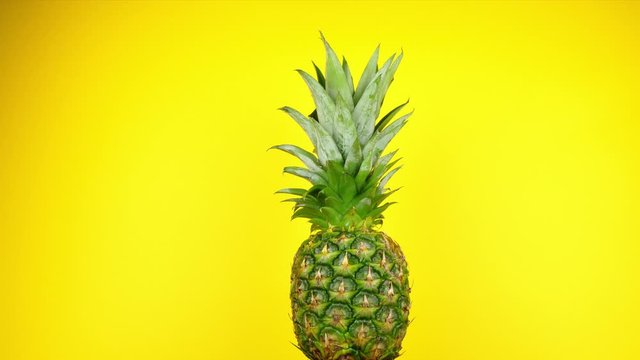 A large pineapple rotates slowly in front of a fun yellow studio background