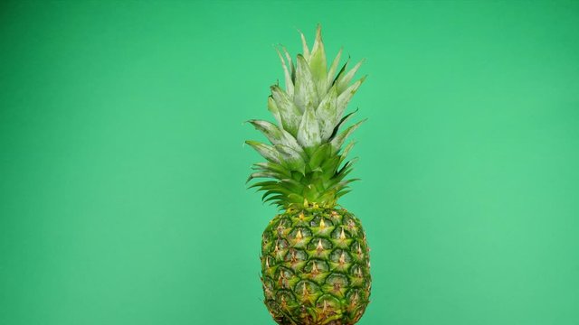 A lone pineapple rotates slowly in front of a deep green studio backdrop