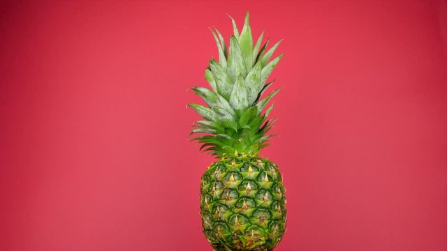 In front of a rich burgundy backdrop, a pineapple rotates slowly