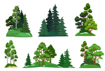 Forest trees. Green fir tree, forests pine composition and isolated trees. Foresting botanical woodland or park green tree trunk signs. Cartoon vector illustration icons set - obrazy, fototapety, plakaty