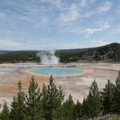  yellowstone national park the nature