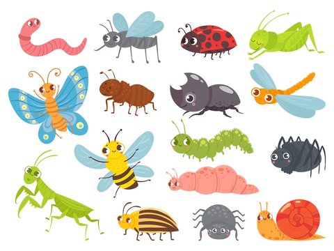 Cute cartoon insects. Funny caterpillar and butterfly, children bugs, mosquito and spider. Green grasshopper, ant and ladybug. Bug insect colorful isolated vector illustration icons set