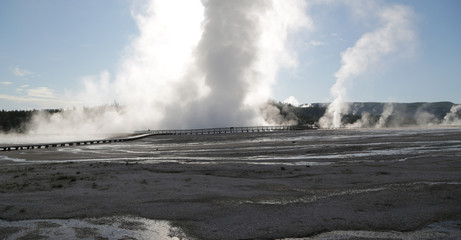  yellowstone national park the nature