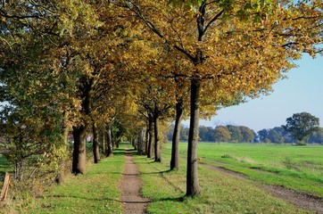 Herbst 