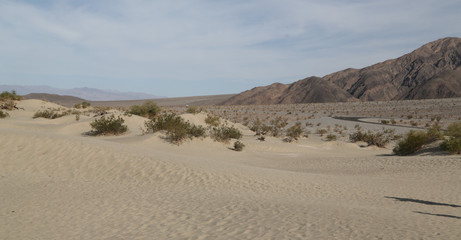   death valley  park the beauty of nature