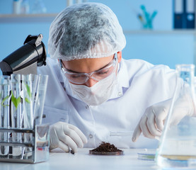 Male scientist researcher doing experiment in a laboratory