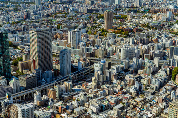 Fototapeta premium 東京の街並み 