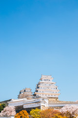 Himeji Castle with cherry blossoms at spring in Japan