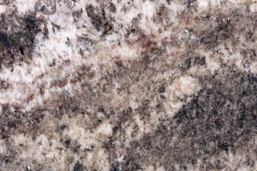 Foto op Canvas Excellent grey granite background for your unique design project. High quality texture. © Dmytro Synelnychenko
