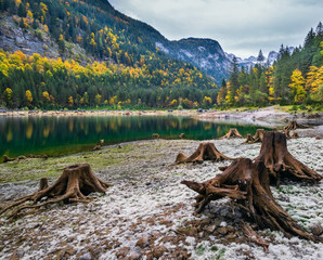 Fototapeta premium Tree stumps near Gosauseen or Vorderer Gosausee lake, Upper Austria. Colorful autumn alpine view of mountain lake with clear transparent water and reflections. Dachstein summit and glacier in far.