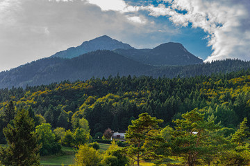 Fototapeta premium landscape with mountains and trees
