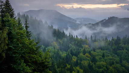 Misty mountains in Slovakia