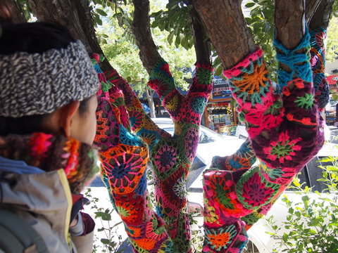 Stylishly Decorated Tree With Colorful Yarn, San Carlos De Bariloche, Argentina