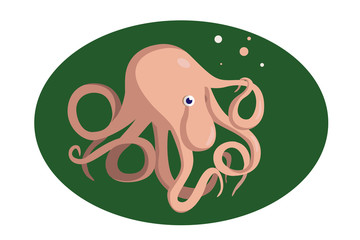 Octopus on a green background