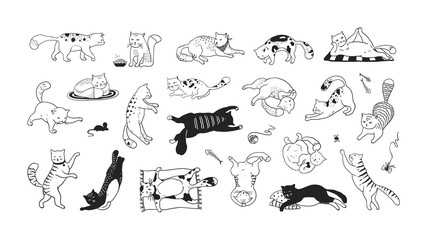 Hand drawn cats. Funny and cute pets, doodle black different kittens and cats sitting lying and playing. Vector collection ink sketch trendy image characters joyful play kitty