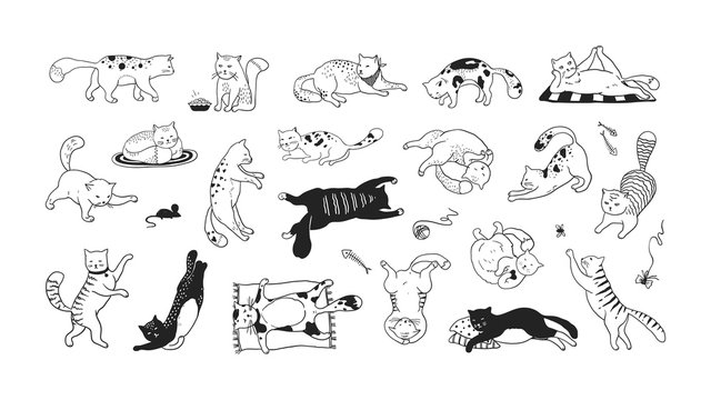 Hand drawn cats. Funny and cute pets, doodle black different kittens and cats sitting lying and playing. Vector collection ink sketch trendy image characters joyful play kitty