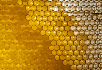 Honey in its natural comb