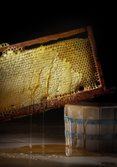 Natural Honey flows from the honeycomb into a wooden barrel
