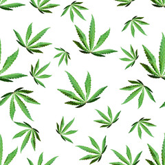 Green cannabis leaves, marijuana on white background. Seamless texture. Top view, image Wallpaper close-up