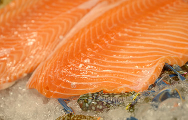 Salmon Filet on Ice