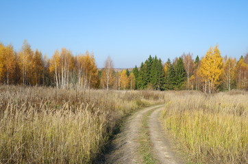 Autumn landscape in Sunny weather