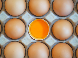 raw chicken egg in the center of carton