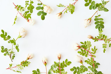 Flat lay pattern with small white flowers and green leaves on a white background
