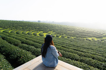 Beautiful woman sitting on the wood floor viewing finest tea farm with white fog in the morning