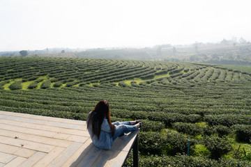 Beautiful woman sitting on the wood floor viewing finest tea farm with white fog in the morning