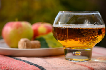 Tasting of french apple cider made from new harvest apples outdoor in orchard