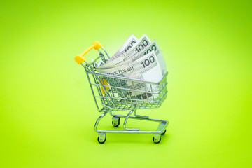 mini shopping trolley full of 100 Polish zloty banknotes.  The concept of shopping and the power of the economy