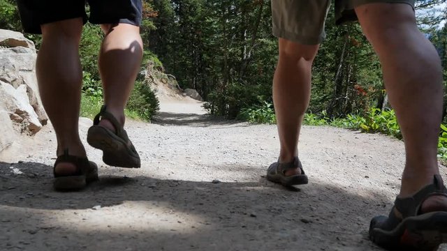 POV of Path way/natural treking way with 2 men treking pass in the middle of pine tree forest on the mountain in National Park,Alberta,Canada- Natural landscape view in canada in 4K