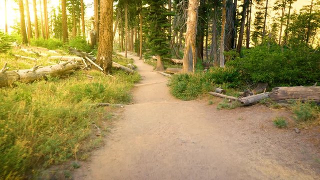 Hiking trail leading to Rainbow Falls in the Ansel Adams Wilderness near Mammoth Lakes California USA